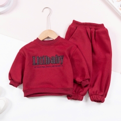 Bộ thời trang trẻ em - F04 2/7 thêu chó