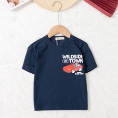 Áo cotton trẻ em - A02 2/12 TS18