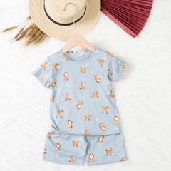 Bộ cotton trẻ em - bé trai B004 2/10 TS20