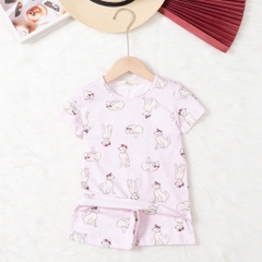 Bộ cotton trẻ em - bé trai B004 2/10 TS20