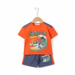 Bộ cotton trẻ em - bé trai B003 2/10