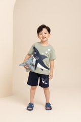 Bộ cotton trẻ em - bé trai B006 2/10