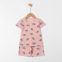 Bộ cotton trẻ em - bé trai B004 2/10 TS20