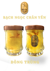 ĐÔNG TRÙNG KHANG SINH | BẠCH NGỌC CHÂN YẾN - Vị Đông Trùng (100ml)