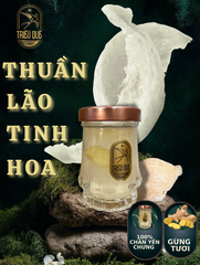 [100%] GỪNG CÀNG GIÀ CÀNG CAY | BẠCH NGỌC CHÂN YẾN -Vị Gừng Tươi (100ml)