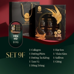 AN HÒA VƯƠNG PHÚC - Hộp 9 Hũ Yến Chưng Sẵn