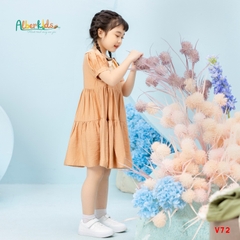 Váy BG Lena Dress nâu phối kem V72