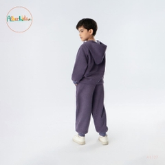 Sét bộ nỉ BT hoodie màu tím A1127T