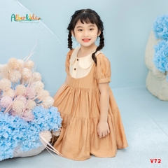 Váy BG Lena Dress nâu phối kem V72