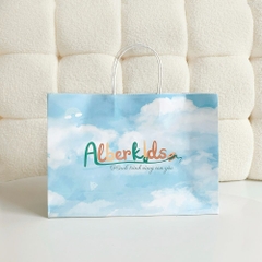 Túi giấy Alerkids