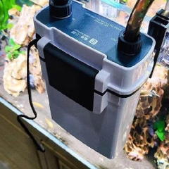 ban-moi-loc-treo-be-ca-the-he-moi-sunsun-xbl-500-7w-500l-h-vang-co-ranh-xoay-duo
