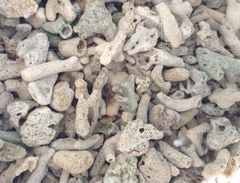 2kg-san-ho-vun-cho-be-ca-canh