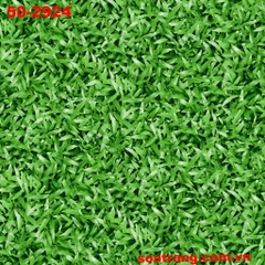 Gạch sân vườn 50X50 PRIME 2924