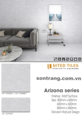 Gạch ốp Eurotile Viglacera: Arizona AZ1-GM3601
