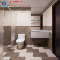 Gạch ốp Eurotile Viglacera: Arizona AZ3-GM3605