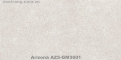 Gạch ốp 30x60 Eurotile Viglacera: Arizona AZ5-GM3601