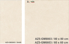 Gạch ốp 30x60 Eurotile Viglacera: Arizona AZ5-GM3603