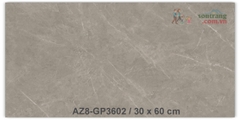 Gạch ốp 30x60 men bóng Arizona AZ8-GP3602