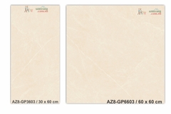 Gạch ốp 30x60 men bóng Arizona AZ8-GP3603