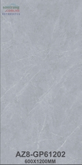 Gạch ốp lát 60x120 Arizona VGC-AZ8-GP61202 Men Bóng