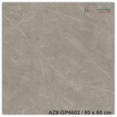 Gạch lát 60x60 men bóng Arizona AZ8-GP6602