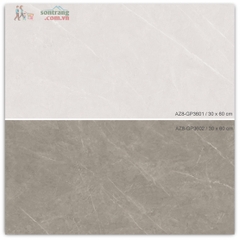 Gạch ốp 30x60 men bóng Arizona AZ8-GP3602