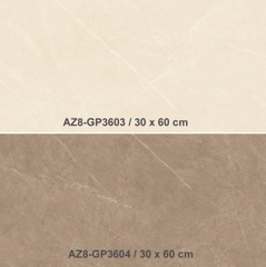 Gạch ốp 30x60 men bóng Arizona AZ8-GP3604