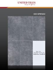 Gạch ốp  800x1600 Viglacera US3-9GM81602