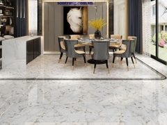 Gạch lát VINCERA 60x60 8066