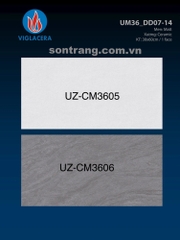 Gạch ốp tường Viglacera UZ-CM3605