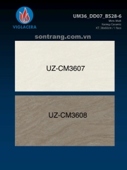 Gạch ốp tường Viglacera UZ-CM3607
