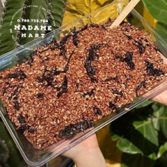 GẠO LỨT SẤY RONG BIỂN (500G)