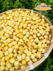 HẠT SEN SẤY GIÒN XK