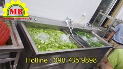 Máy rửa rau củ quả công nghiệp