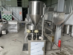 Máy cân định lượng dạng hạt