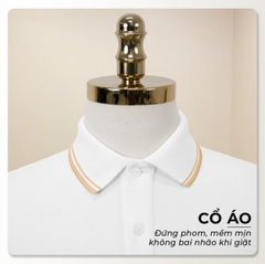 bst-ao-polo-boat-eddy-logo-theu-co-be-basic-vai-ca-sau-sang-trong-lich-lam-thoan