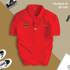 ao-thun-poloman-35-nam-co-be-poloman-moi-vai-ca-sau-cvc-cao-cap-chuan-form