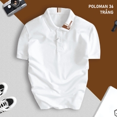 ao-thun-poloman-36-nam-co-be-poloman-moi-vai-ca-sau-cvc-cao-cap-chuan-form