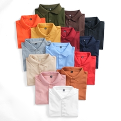 ao-polo-tron-vai-ca-sau-tre-trung-nang-dong-du-mau