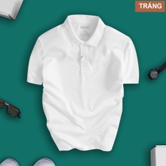 ao-polo-tron-basic-sang-trong-tinh-te