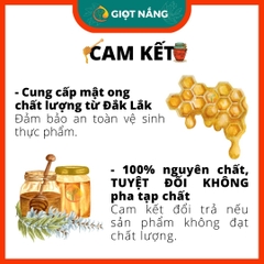 Mật ong nguyên chất Đăk Lăk, mật ong hoa cà phê chứa nhiều dinh dưỡng tốt thể tích 01 lít từ GIỌT NẮNG COFFEE