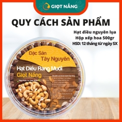 Hạt Điều Rang Muối nguyên lụa, Hạt dinh dưỡng chất lượng Thơm Ngon Giòn Bùi Bổ Dưỡng hộp 500g từ nông sản GIỌT NẮNG