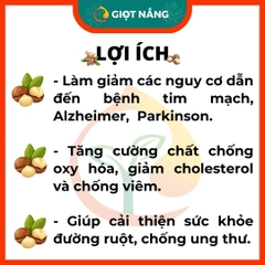 Hạt Macca nứt vỏ Đăk Lăk Size A sấy lạnh giàu dinh dưỡng không hôi dầu 500g từ Nông sản GIỌT NẮNG