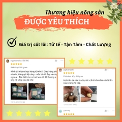 Hạt Macca nứt vỏ Đăk Lăk Size A sấy lạnh giàu dinh dưỡng không hôi dầu 500g từ Nông sản GIỌT NẮNG