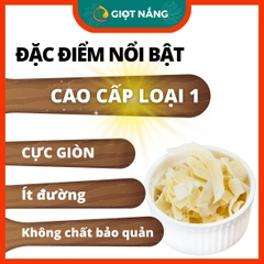 Dừa khô sấy giòn cao cấp LOẠI 1 ít đường bổ sung dinh dưỡng đồ ăn healthy hộp 300g từ Nông Sản Giọt Nắng