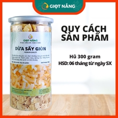 Dừa khô sấy giòn cao cấp LOẠI 1 ít đường bổ sung dinh dưỡng đồ ăn healthy hộp 300g từ Nông Sản Giọt Nắng