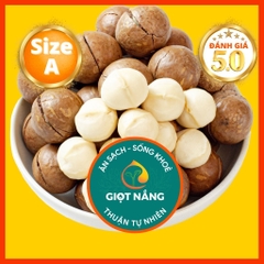 Hạt Macca nứt vỏ Đăk Lăk Size A sấy lạnh giàu dinh dưỡng không hôi dầu 500g từ Nông sản GIỌT NẮNG