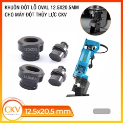 Khuôn đột lỗ Ô Van 12.5x20.5mm - Đột lỗ thép tấm, tôn, kim loại hiệu suất cao