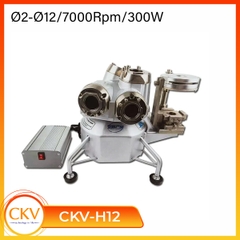 Máy mài dao phay ngón chuyên dụng D2-12mm CKV-H12