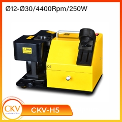 Máy mài dao phay ngón CNC Endmill D12-30mm CKV-H5
